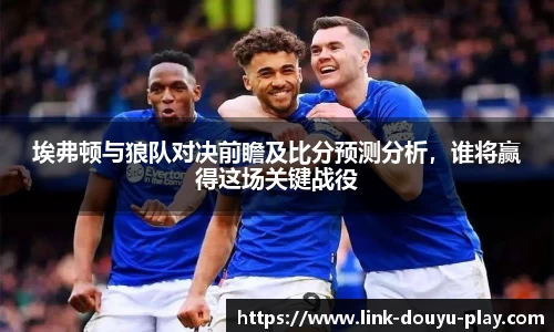 埃弗顿与狼队对决前瞻及比分预测分析，谁将赢得这场关键战役